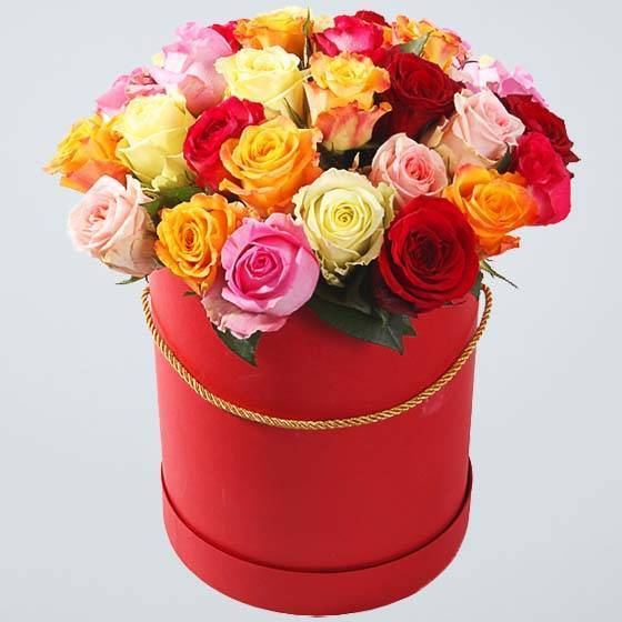 Композиция 0073