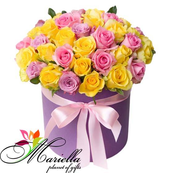 Композиция 0426