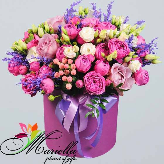 Композиция 0437