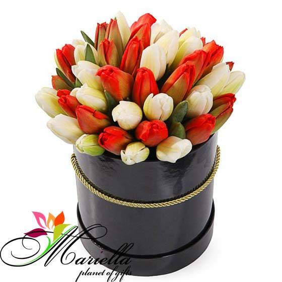 Композиция 0255