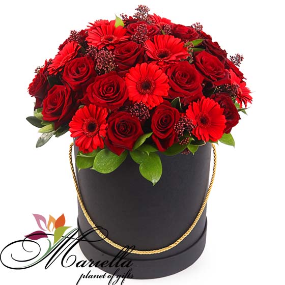 Композиция 0176