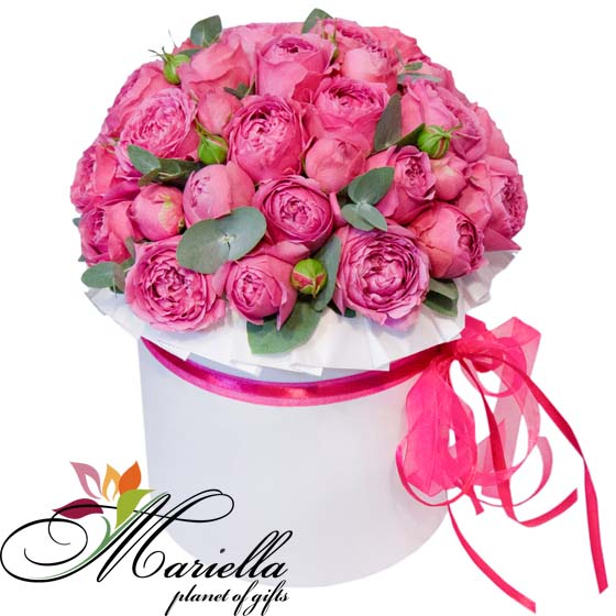 Композиция 0389