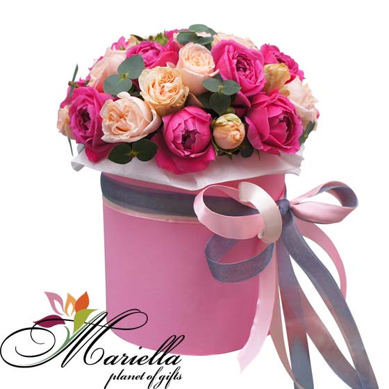Կոմպոզիցիա 0427